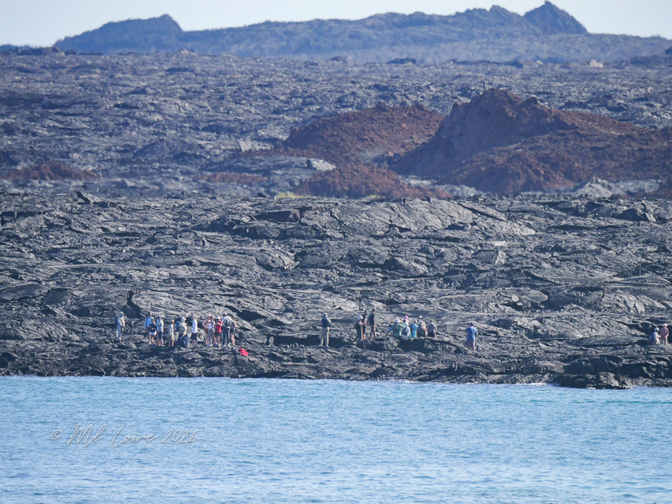 A group of people exploring a black lava landscape along a shoreline, with a calm blue ocean in the foreground and rocky hills in the background.