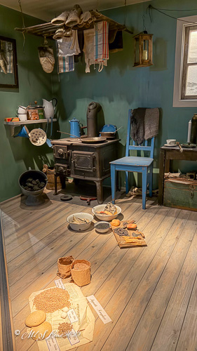 Greenlandic Home