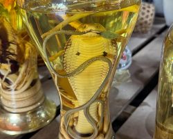 Steve tasted the snake oil with a real snake in it, yuck!