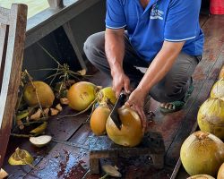 Preparing our coconut drink